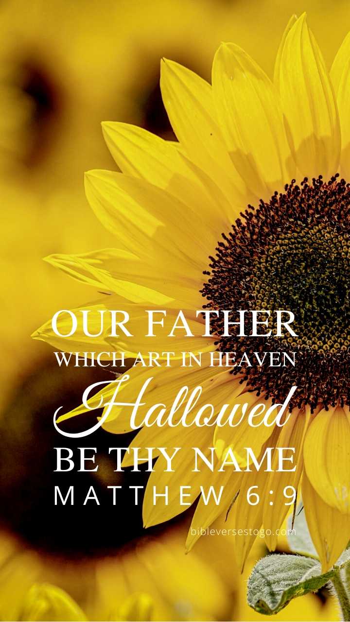 Christian Wallpaper – Sunflower Matthew 6:9