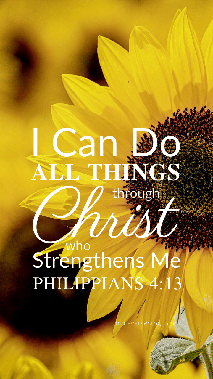 Christian Wallpaper - Sunflower Philippians 4:13