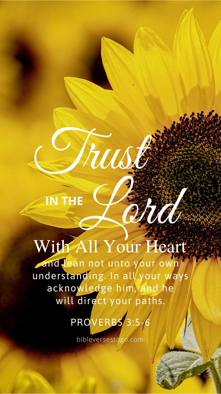 Christian Wallpaper - Sunflower Proverbs 3:5-6