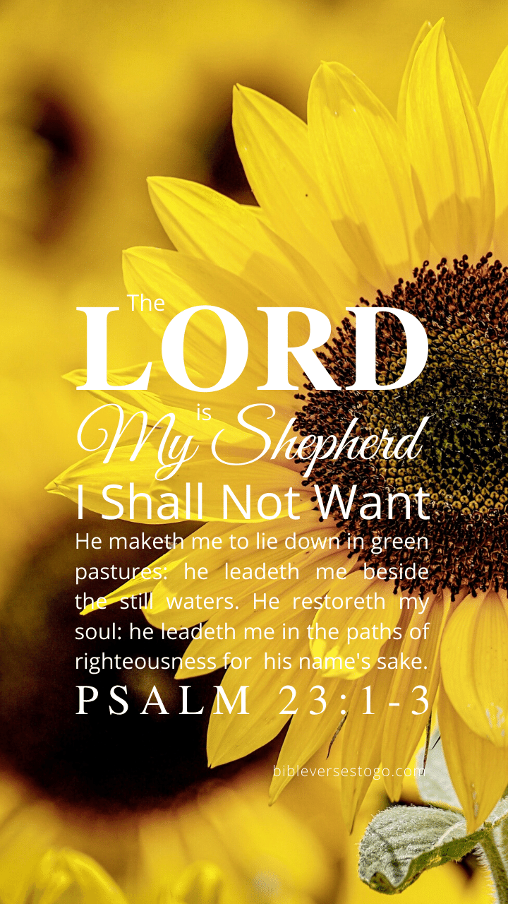 Christian Wallpaper – Sunflower Psalm 23:1-3