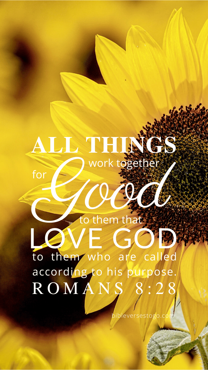 Christian Wallpaper – Sunflower Romans 8:28