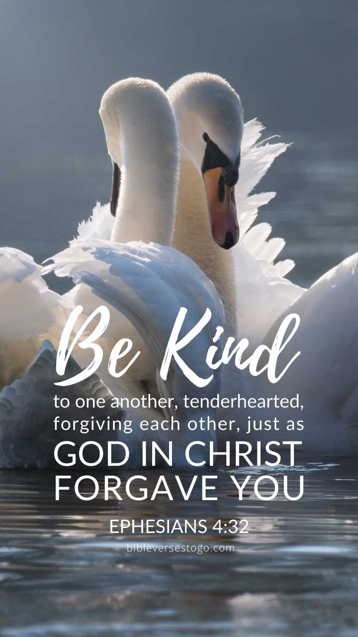 Christian Wallpaper - Swans Ephesians 4:32