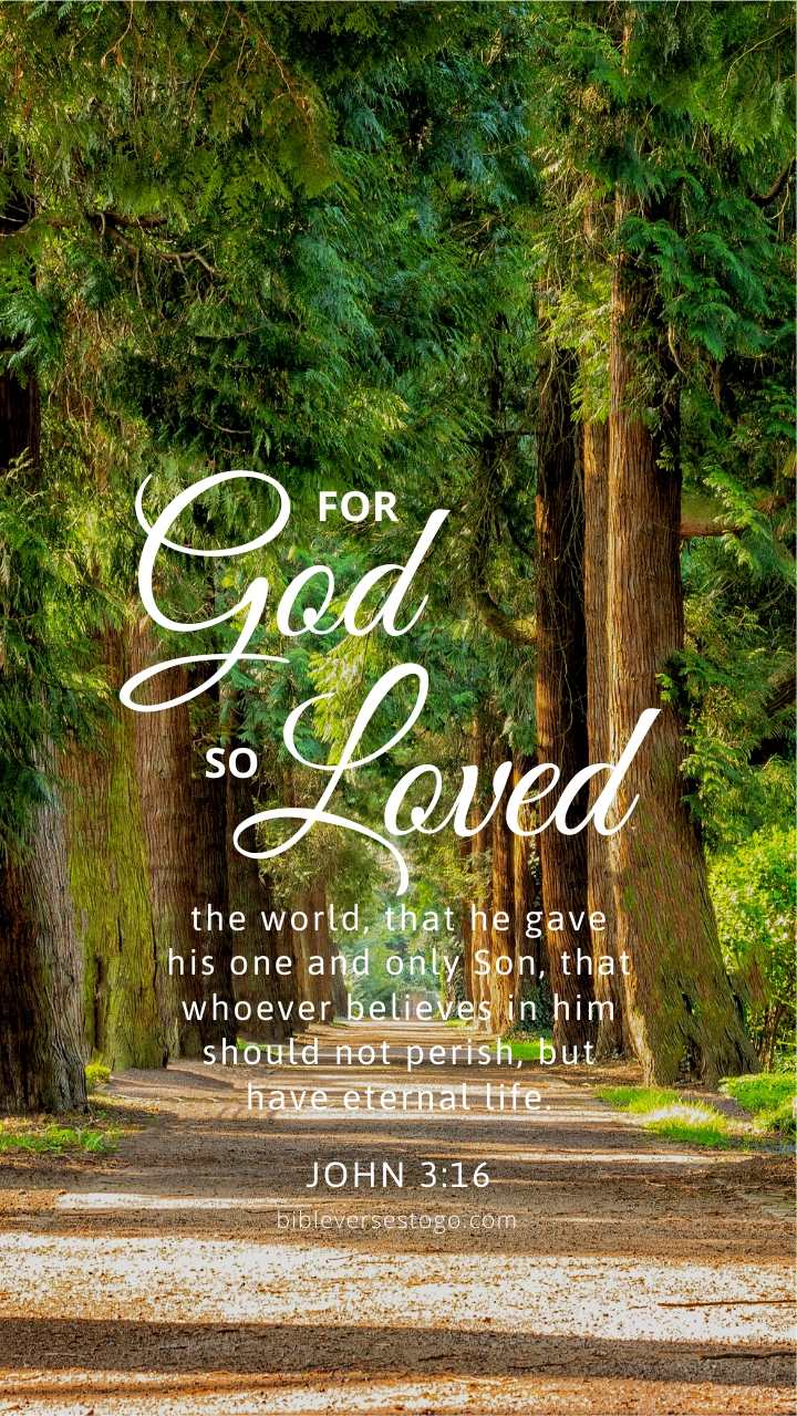 Christian Wallpaper – Treeline John 3:16