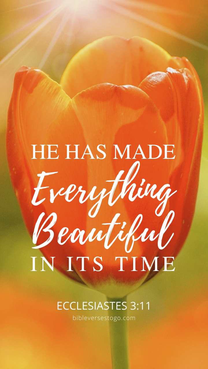 Christian Wallpaper - Tulip Ecclesiastes 3:11