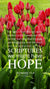 Christian Wallpaper - Tulip Hope Romans 15:4