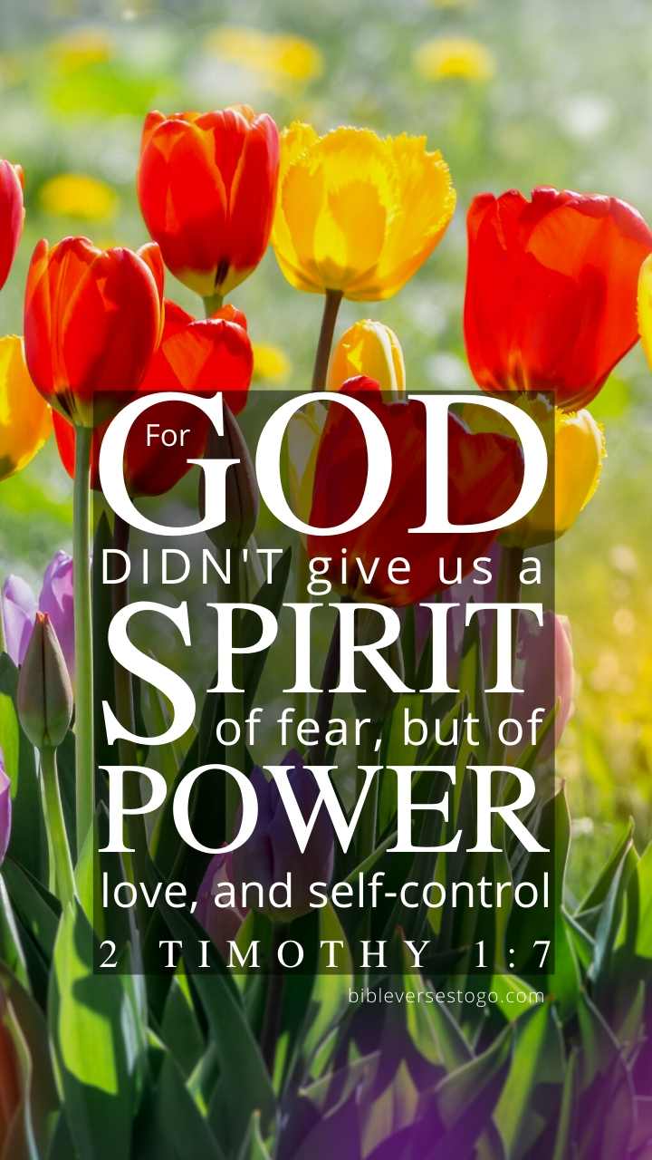 Christian Wallpaper - Tulip Mix 2 Timothy 1:7