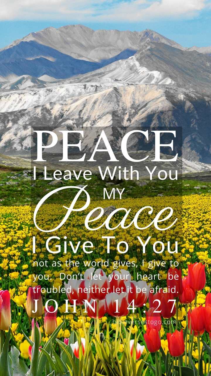 Christian Wallpaper – Tulip Field John 14:27