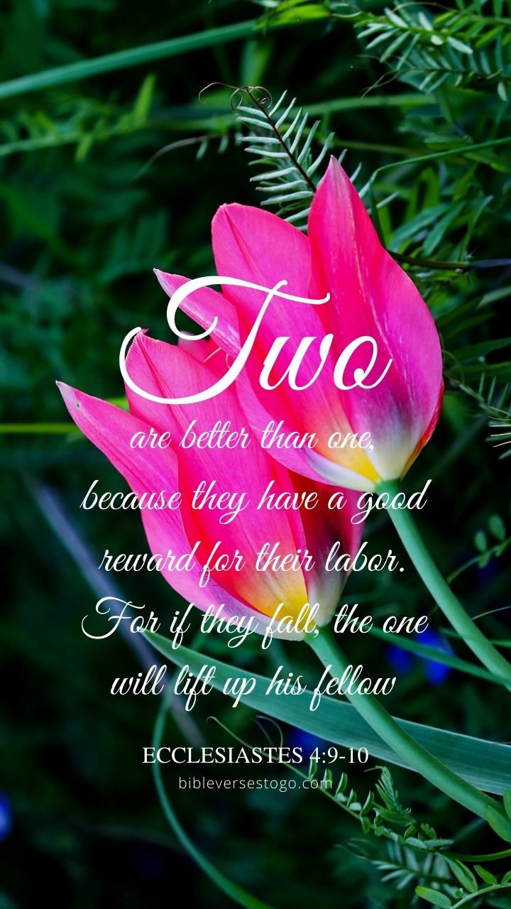 Christian Wallpaper - Two Tulips Ecclesiastes 4:9-10