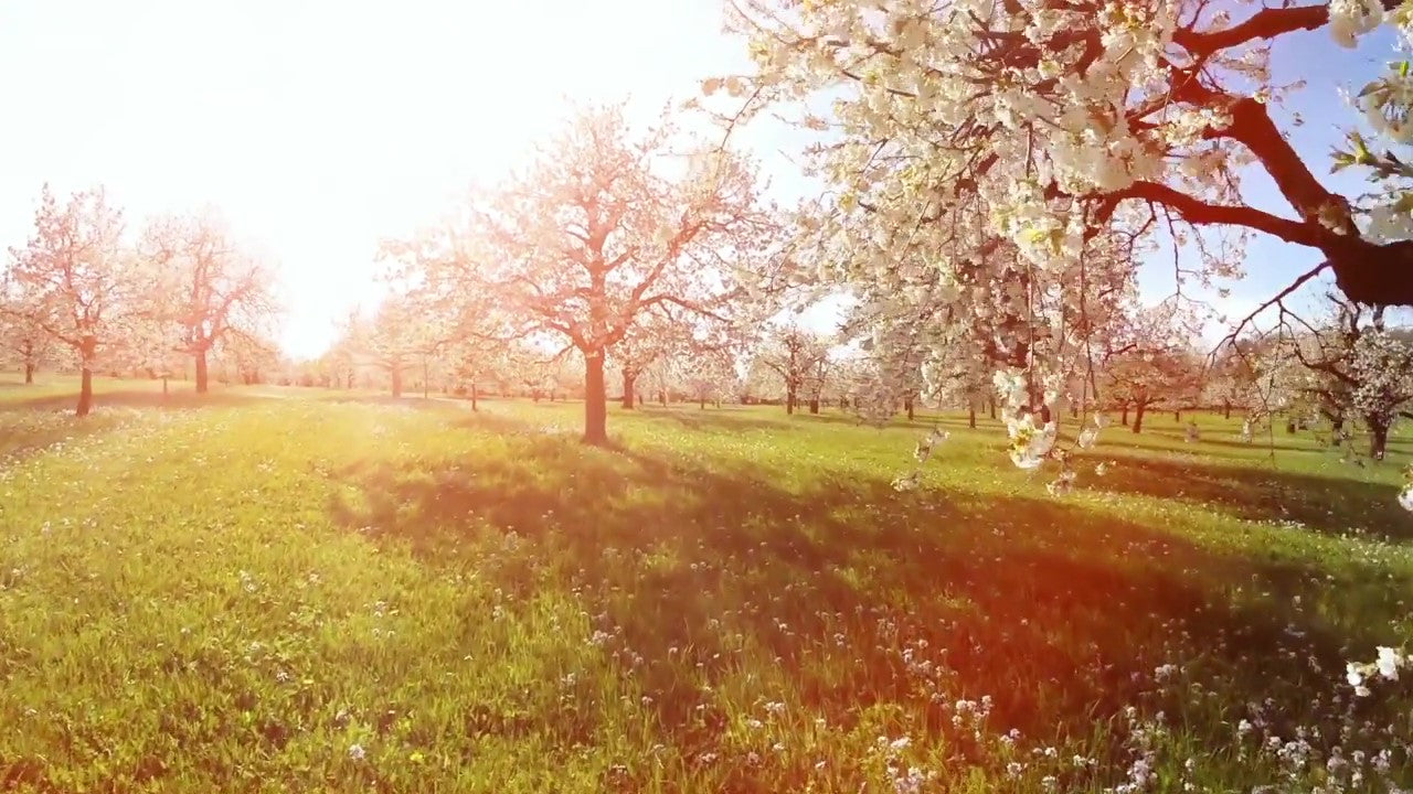 Matthew 5:16 Good Works - VIDEO