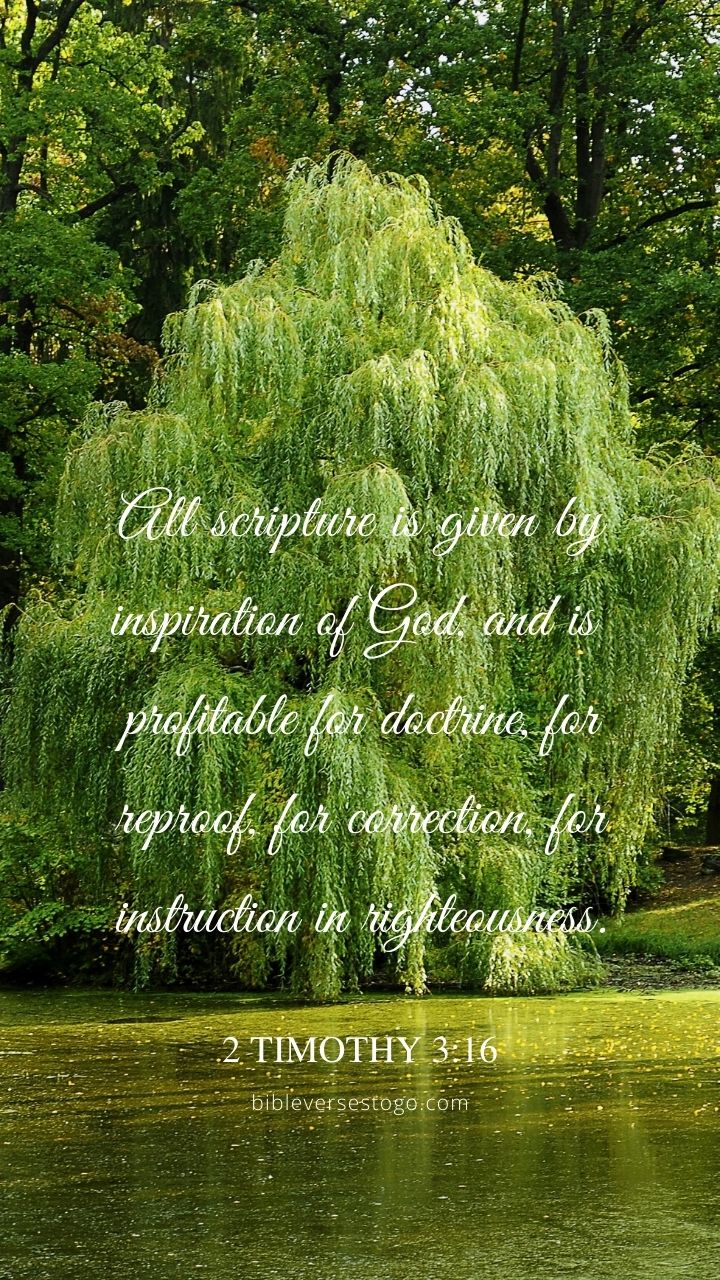 Christian Wallpaper - Willow Pond 2 Timothy 3:16