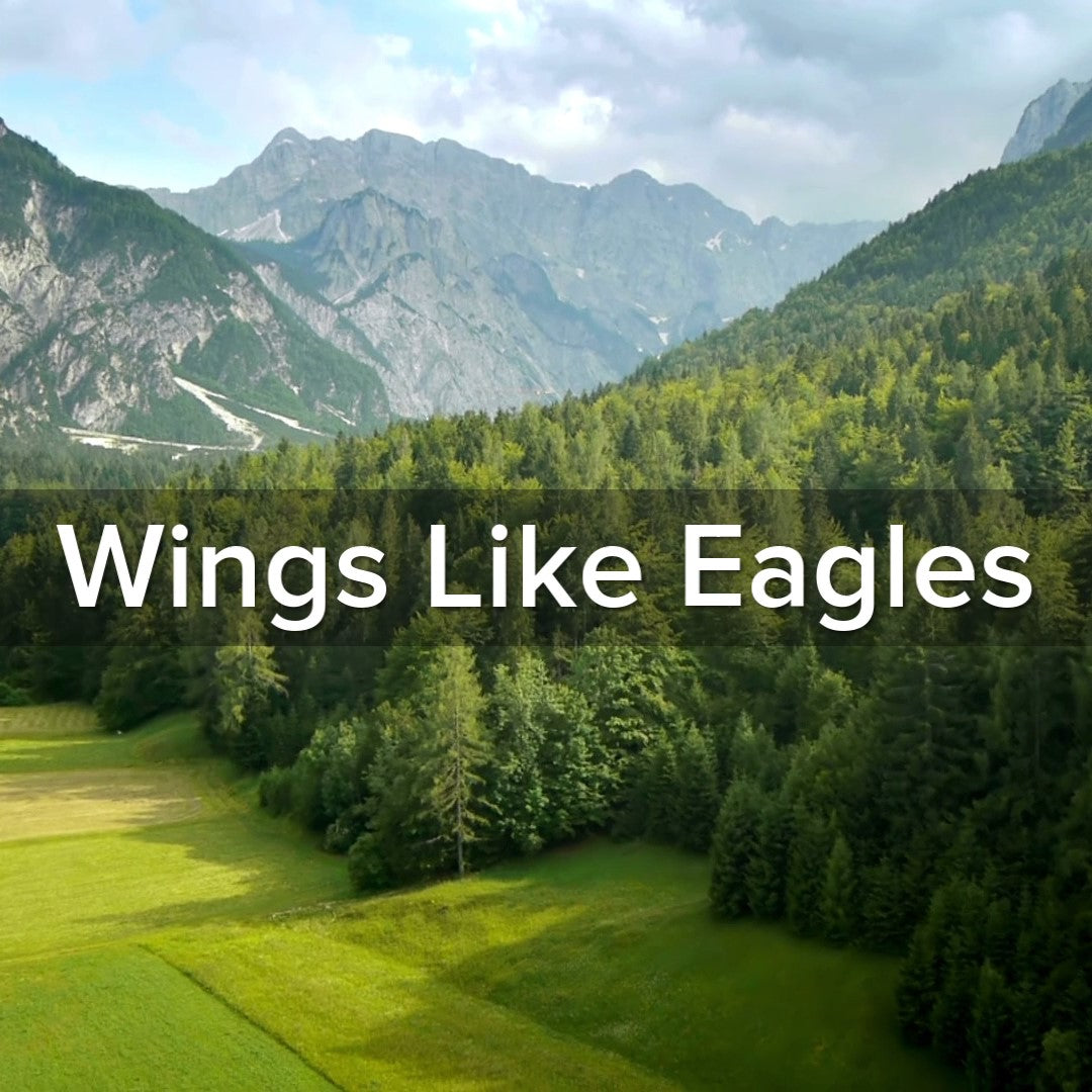 Isaiah 40:31 Wings Like Eagles - VIDEO
