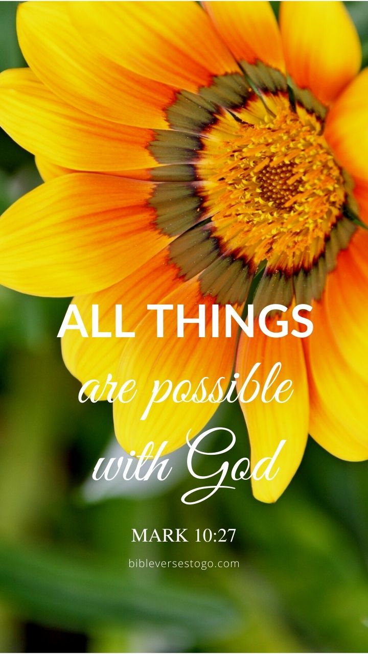 Christian Wallpaper - Yellow Flower Mark 10:27