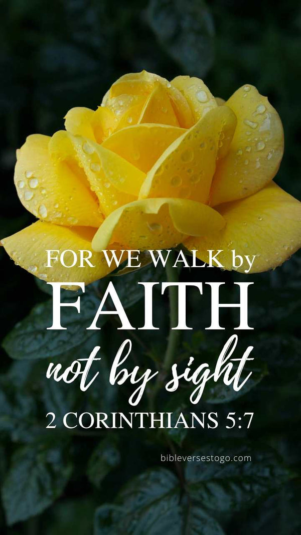 Yellow Rose Bible Verse Wallpaper - Bible Verses To Go