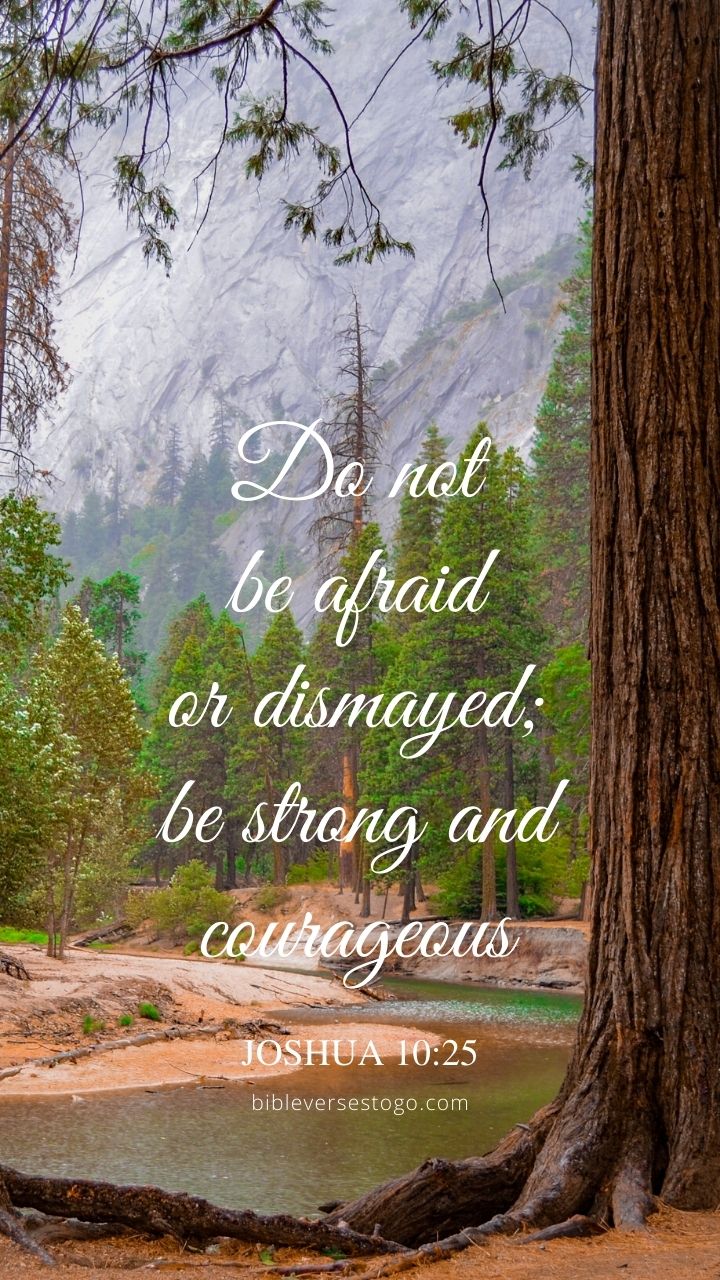 Christian Wallpaper - Yosemite Redwoods Joshua 10:25