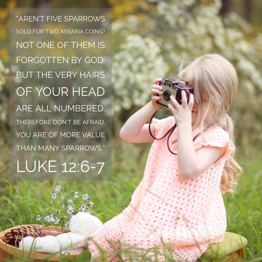 Luke 12:6-7 - More Value Than Many Sparrows - Bible Verses To Go