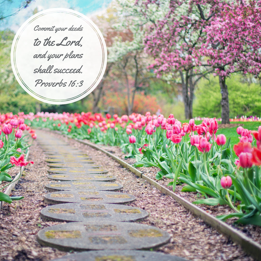 Proverbs 16:3 - Your Plans Shall Succeed - Bible Verses To Go