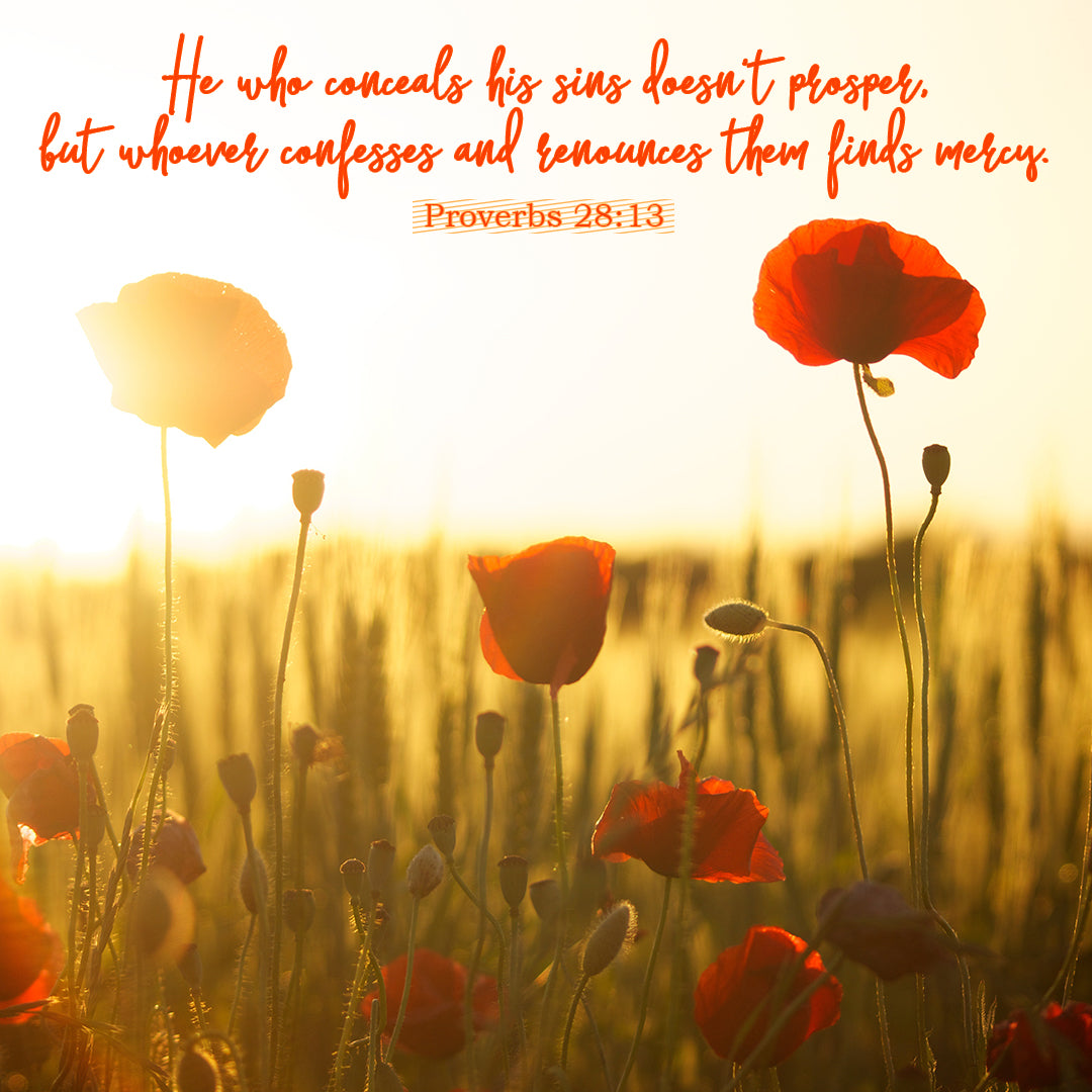 Proverbs 28:13 - Confess and Find Mercy - Bible Verses To Go