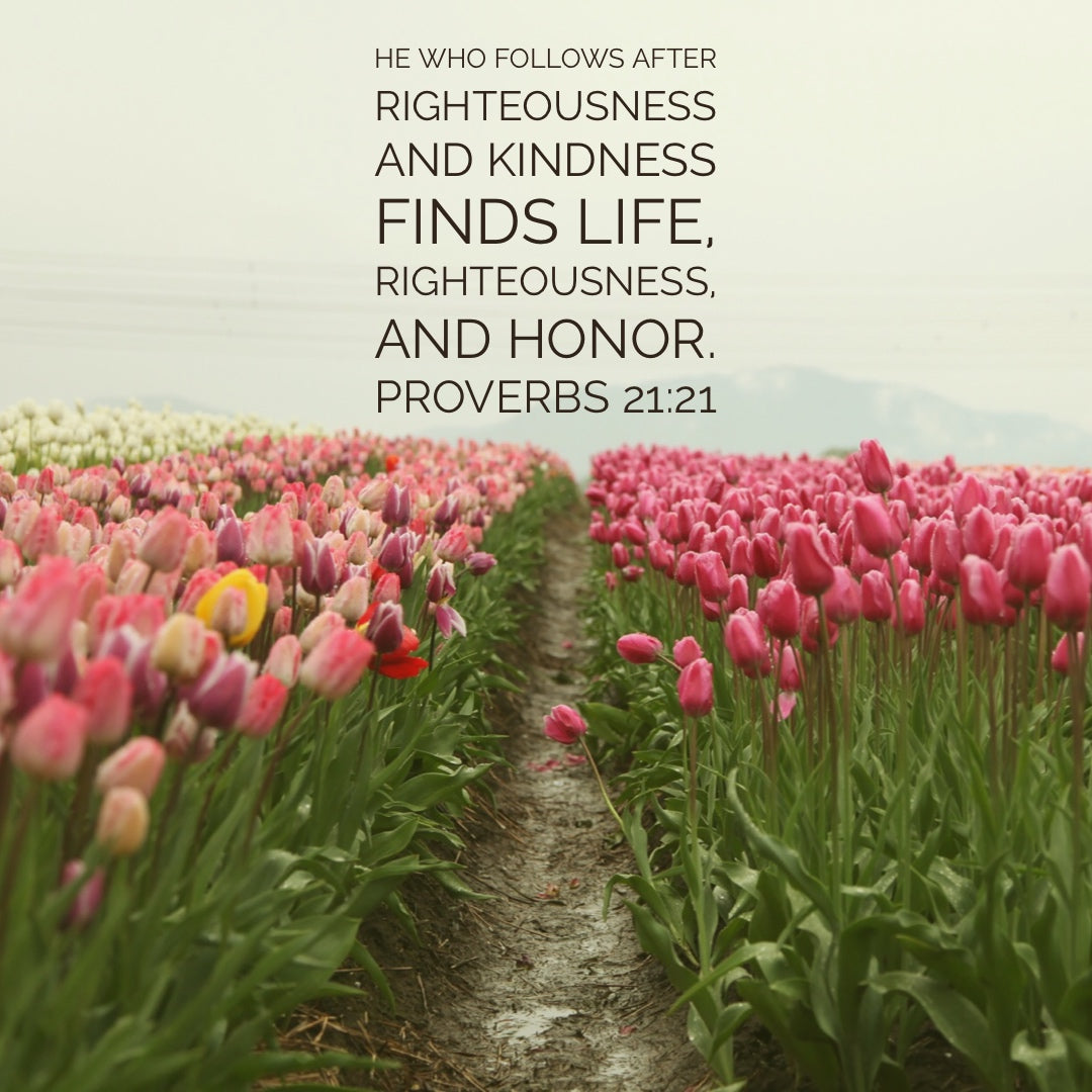 Proverbs 21:21 - He Who Follows Righteousness Finds Life - Bible Verses To Go