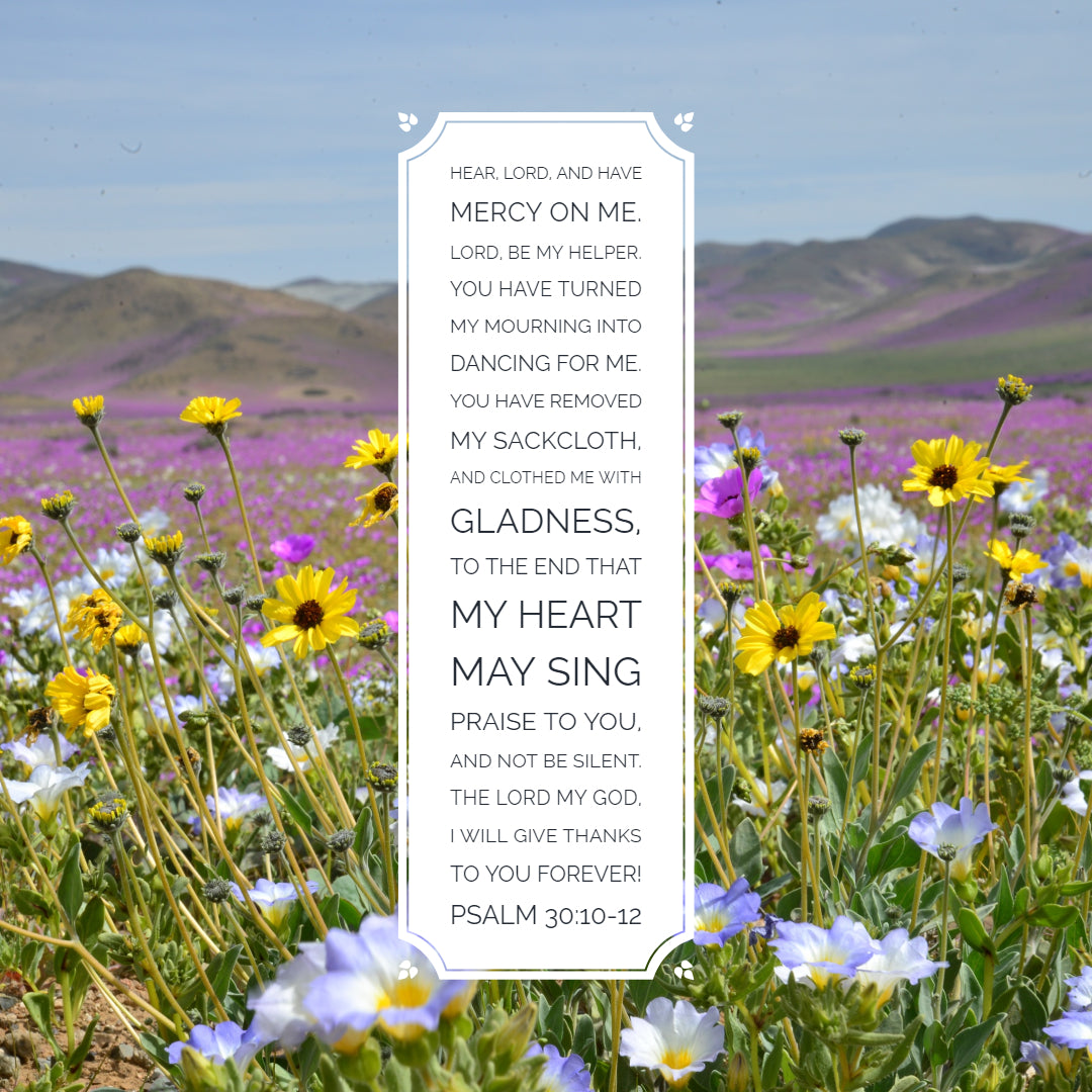Psalm 30:10-12 - Lord Have Mercy on Me - Bible Verses To Go