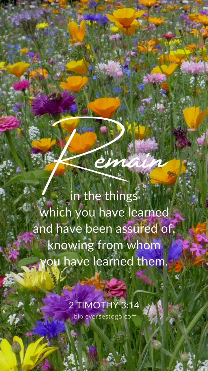 Christian Wallpaper - Remain 2 Timothy 3:14