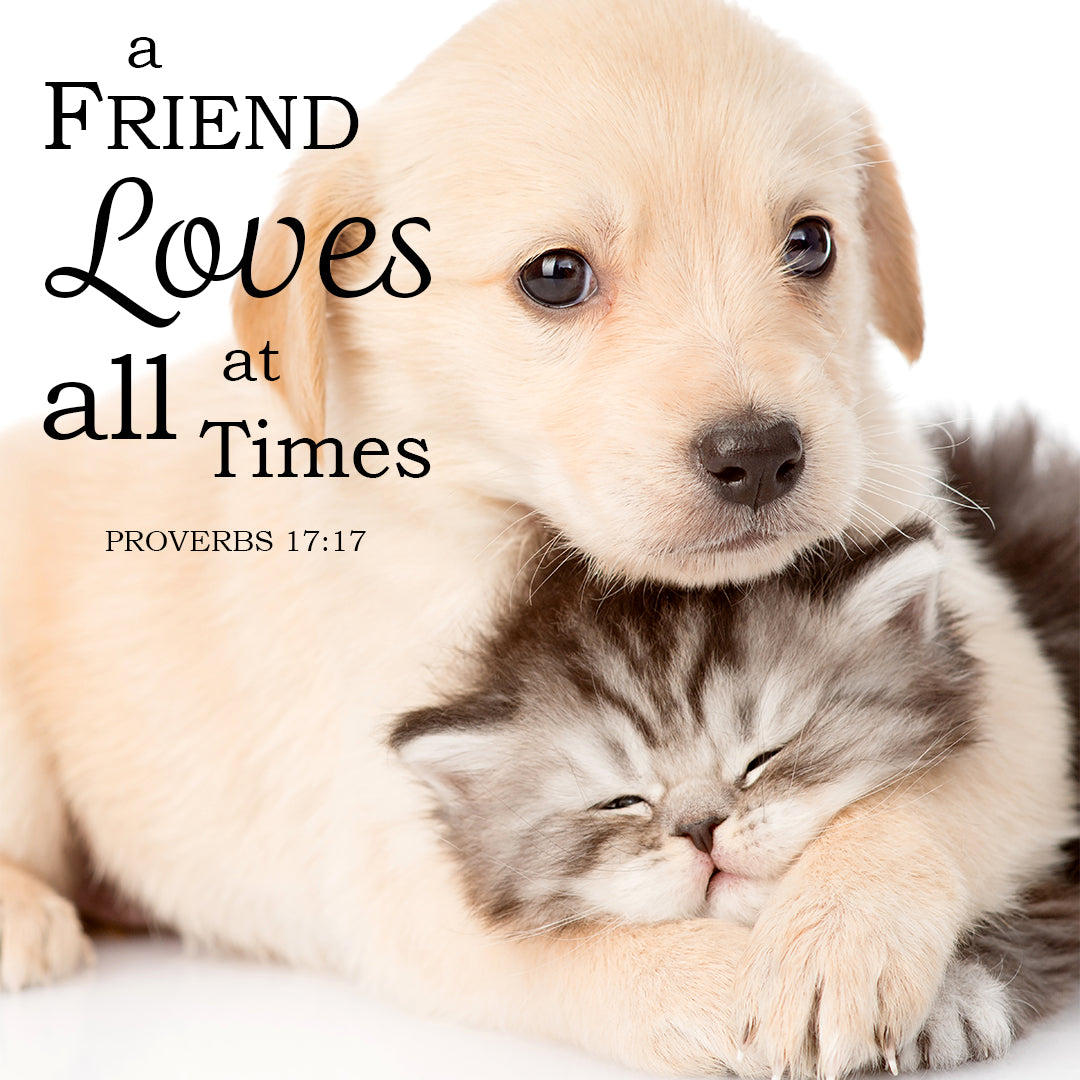 Proverbs 17:17 - A Friend Loves - Bible Verses To Go
